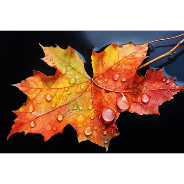 Feuille Colorée Tableau